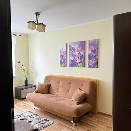 Apartment In The Center Of Elk Room photo