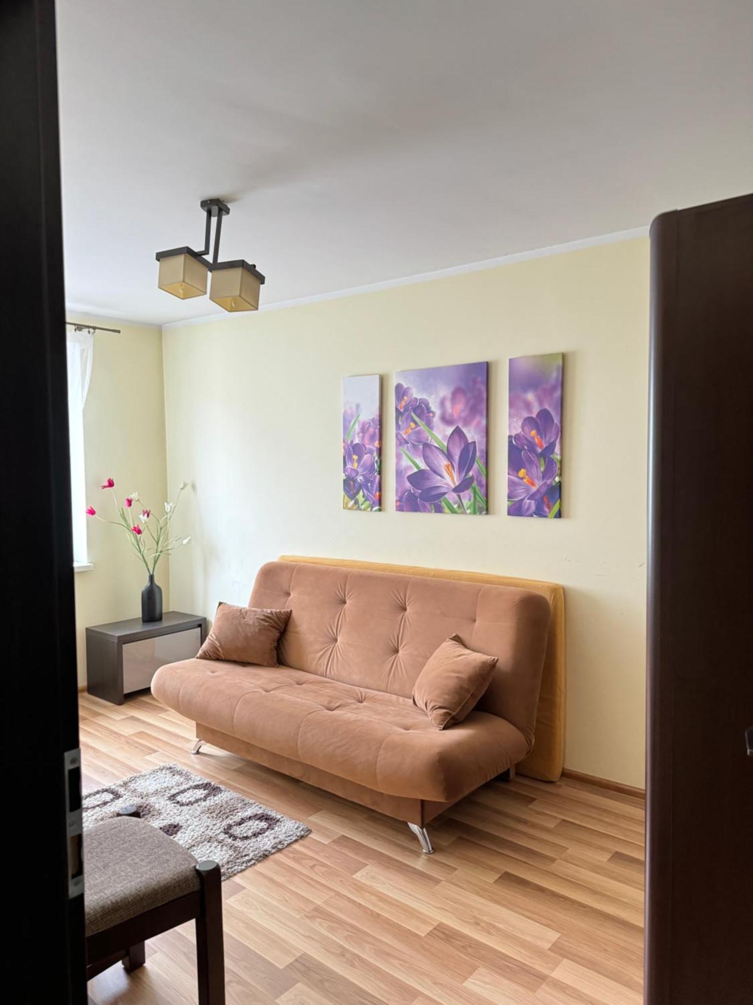 In The Center Of Apartment Elk